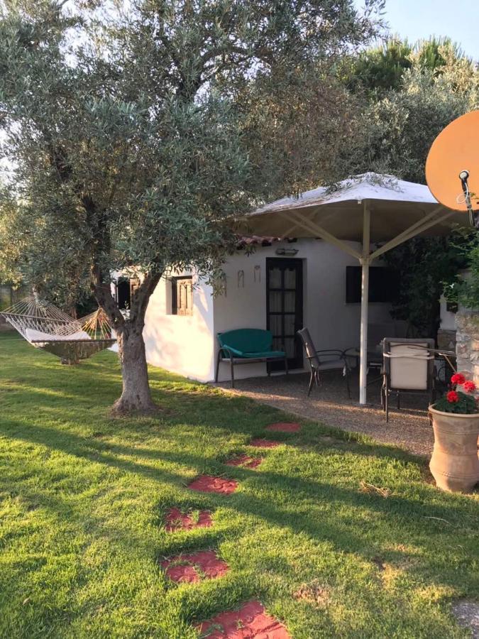 Aparthotel Oasis Skiathos Exterior foto