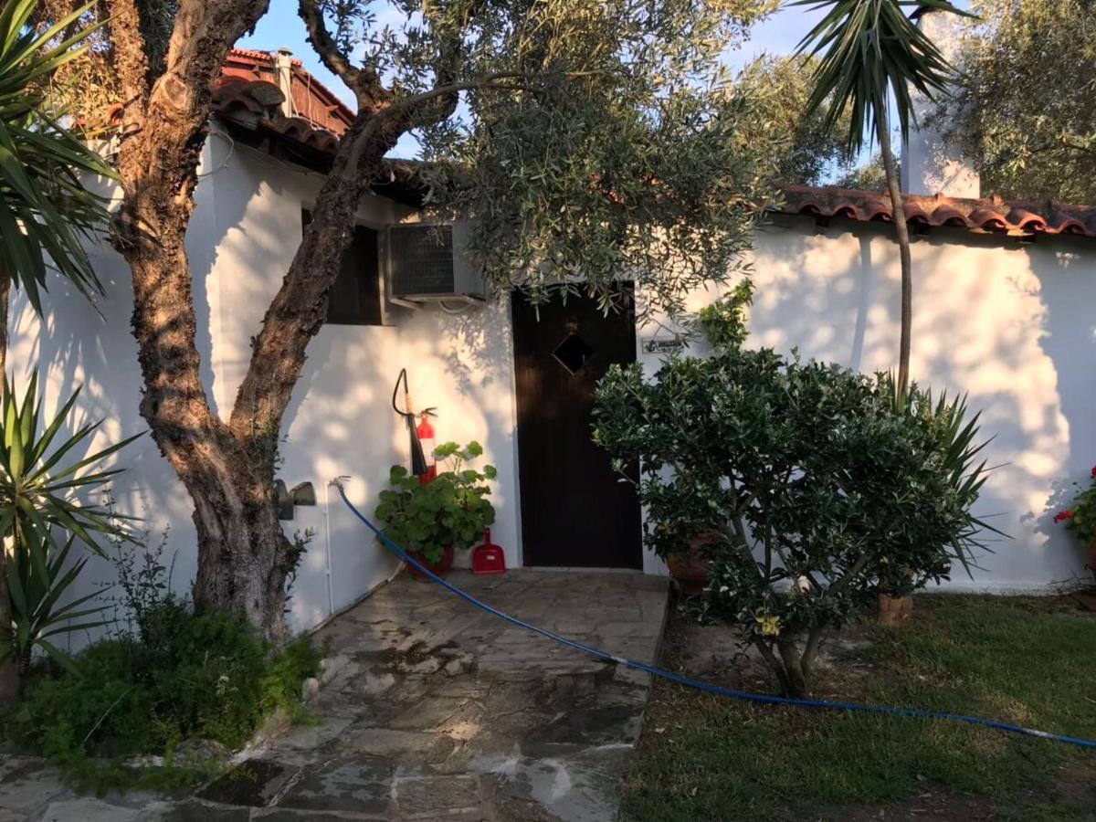 Aparthotel Oasis Skiathos Exterior foto